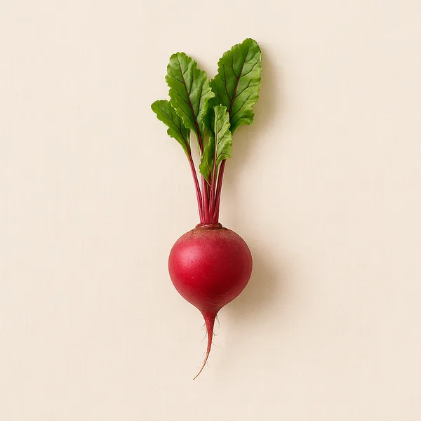 Rote Bete